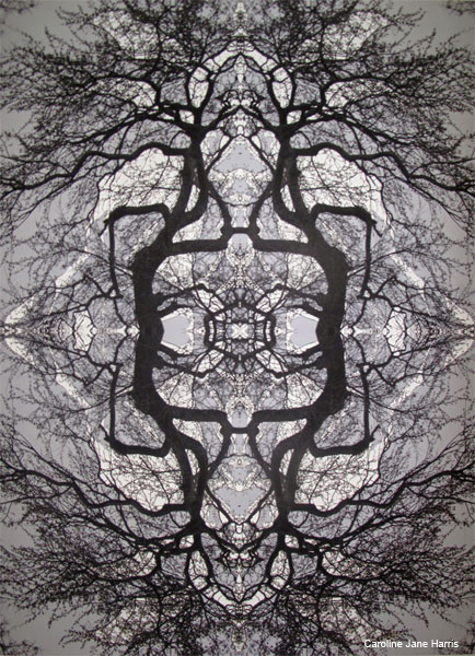 Mandelbrot by Caroline Jane Harris